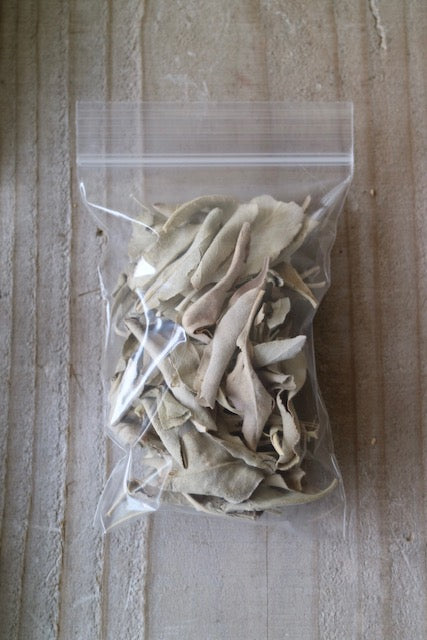 WHITE　SAGE　LEAF　ホワイトセージリーフ　カリフォルニア産AAA
